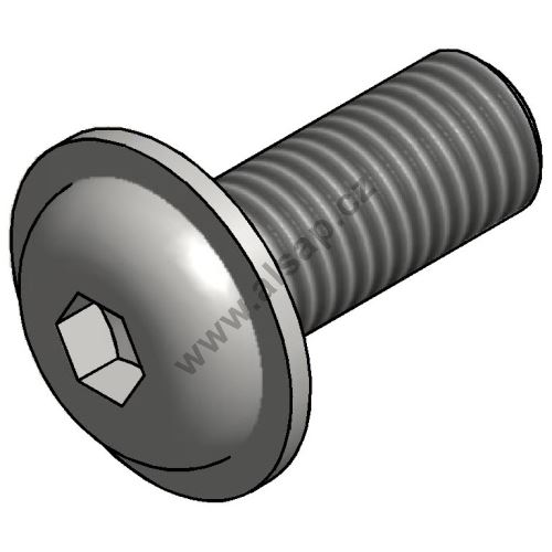 Screw M10x25 with pan head + spring washer, hex socket, galvanized/MKS