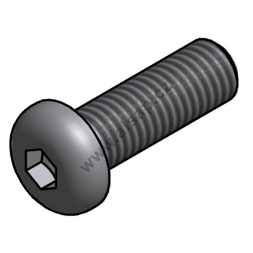 Screw M10x30, half-round head, hex socket, stainless steel