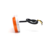 LED position light, W198, NEON, Z bracket / White, Orange, Red (2)