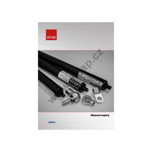 Gas struts