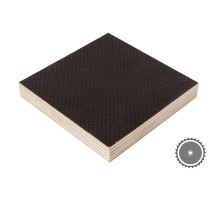 Překližka 9mm, bříza F/W protiskluz 120 G (1)